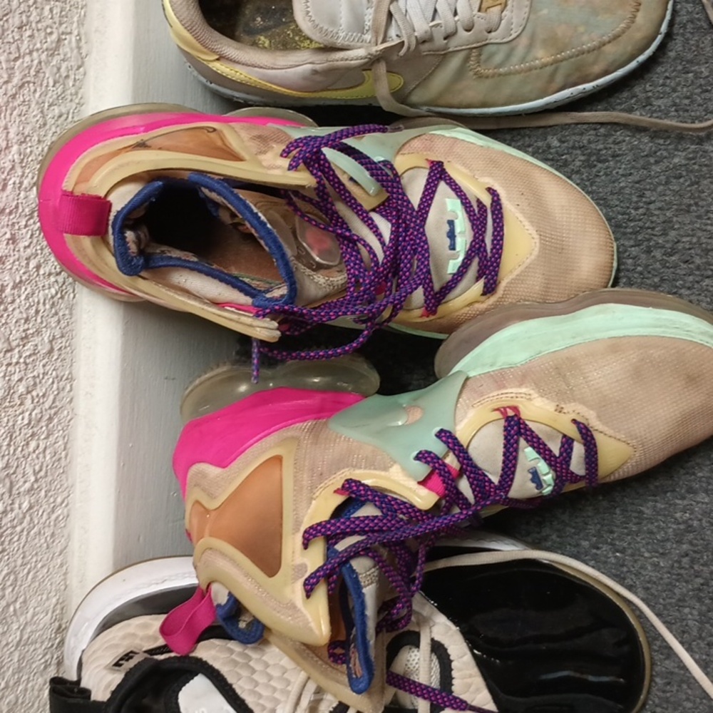 LeBron James shoes